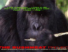 Tablet Screenshot of bushmeat.net